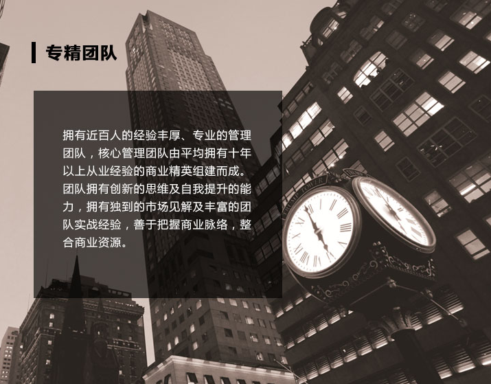 公司簡介