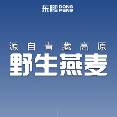 青藏高原野生燕麥禮盒