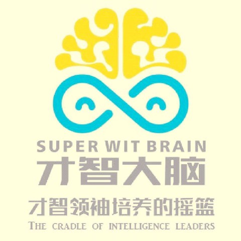 盛和才智教育