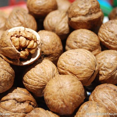 太行樹(shù)下