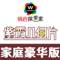 家庭豪华版紫霞几何片