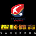 足球數(shù)據(jù)分析利器