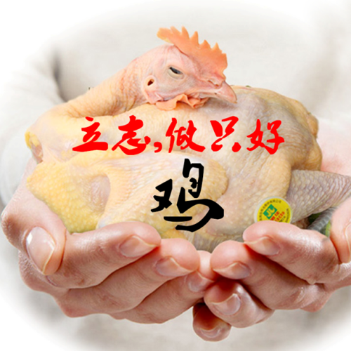 湘佳石門土雞