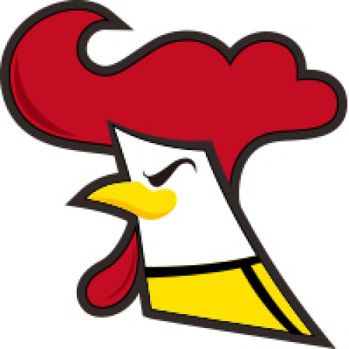 特色炸雞-功夫雞排項目簡報