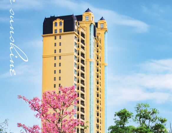 御海阳光5月服务月报