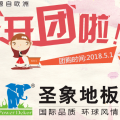 百安居圣象5.1聯(lián)盟團購會