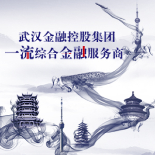 武漢金控集團副本2