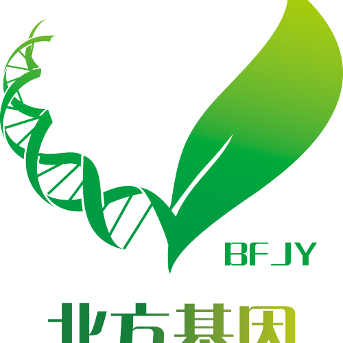 北方基因588健康活動(dòng)正式上線
