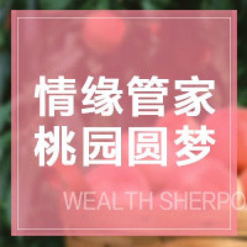 情緣管家 桃園圓夢