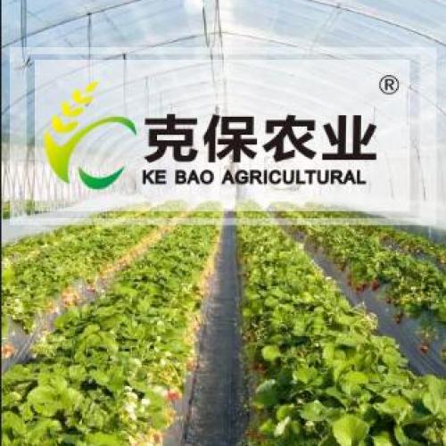 克保農(nóng)業(yè)科技（上海）有限公司（劉楊）
