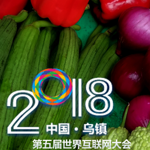 美菜網(wǎng) 世界互聯(lián)網(wǎng)大會