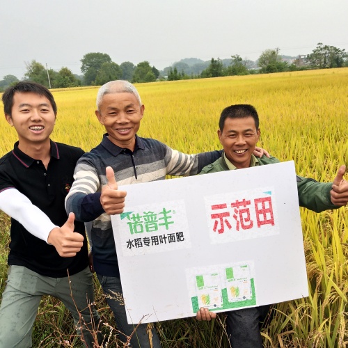【頭條】諾普豐大豐收