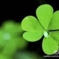 關(guān)愛矮小，快樂童行！