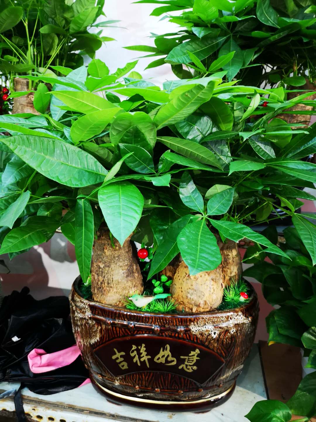 成都亿园花木国庆酬宾活动