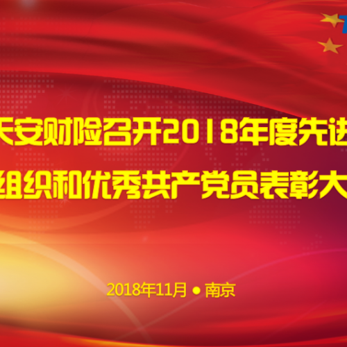 江蘇天安財險優秀共產黨員風采錄