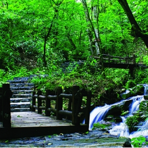 唐崖土司城+坪壩營兩日游