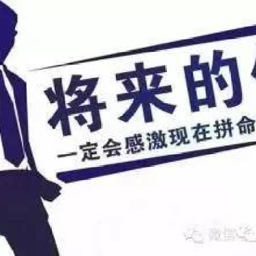 2018最賺錢暴力項目