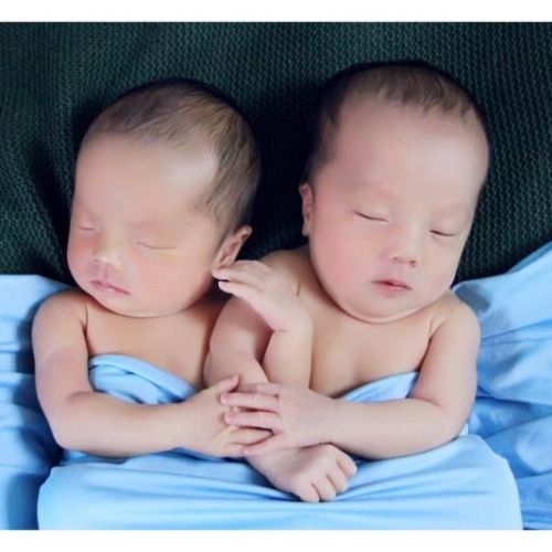 張弛  趙亞利 雙生子邀請函