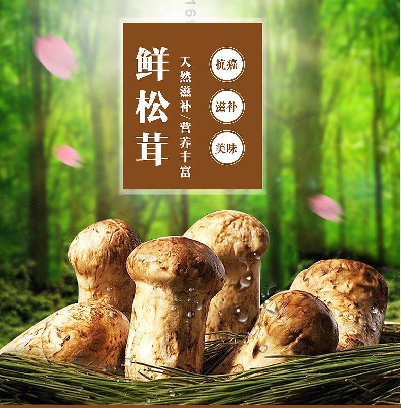 舌尖上的云南——野生菌宴