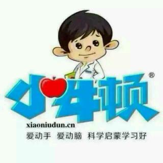 小牛顿科学探索报名