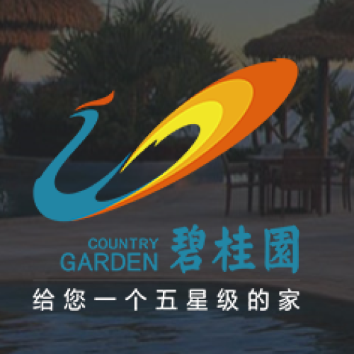 碧桂園資產(chǎn)管理公司社招崗位