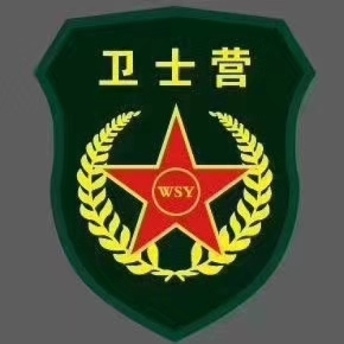 2019卫士营军事冬令营