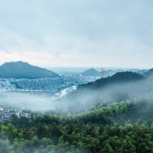 南山郡樓書