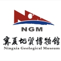 第八屆“中國?寧夏寶玉石奇石觀賞節”暨“帶著寶貝來穿越”中國