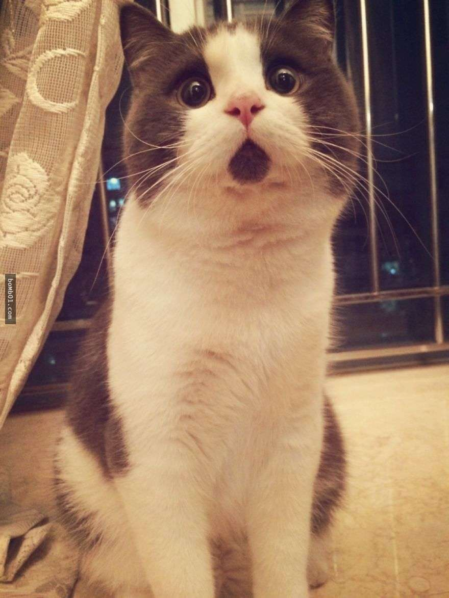 不定期更换机油滤芯，居然....