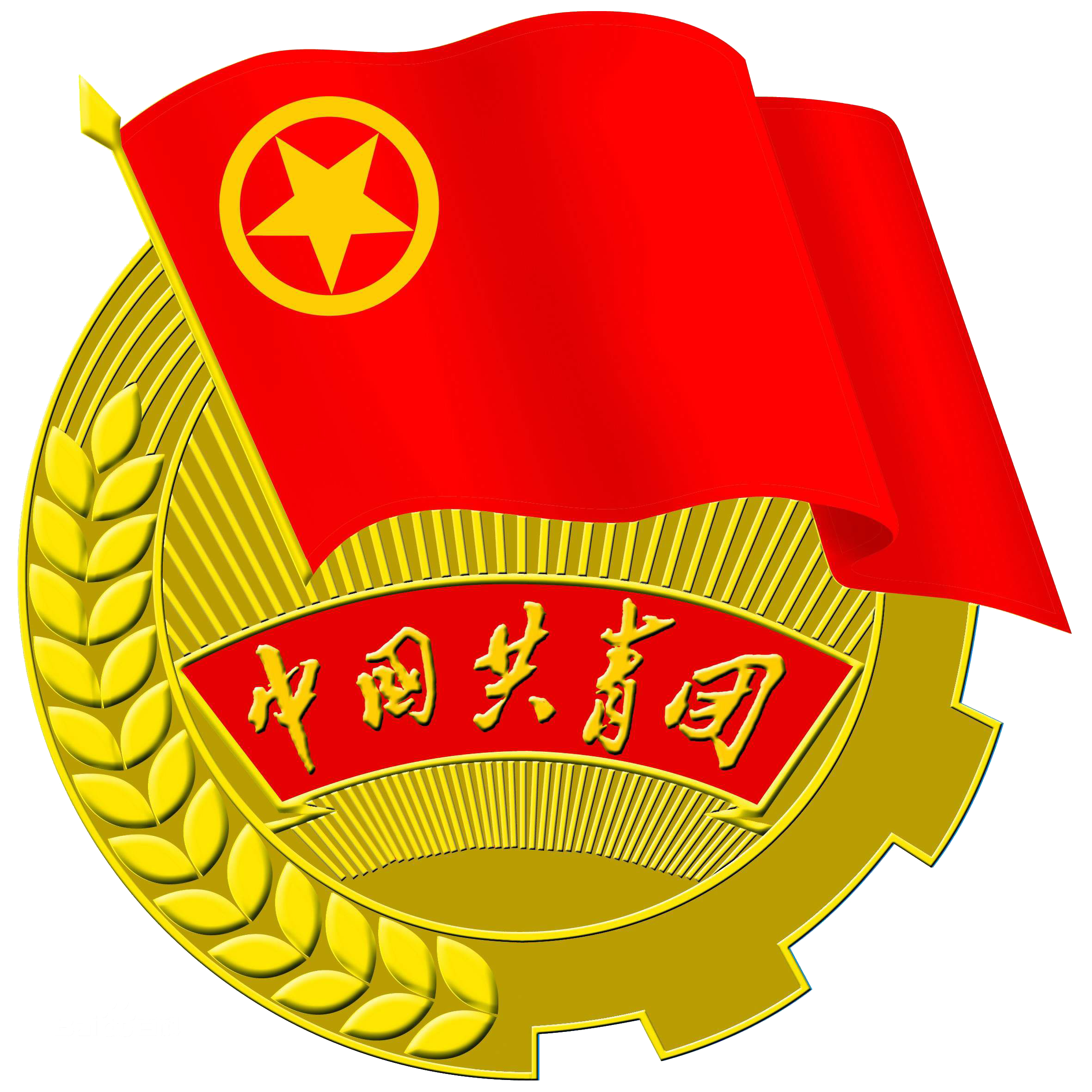 智慧团建系统-信息采集表
