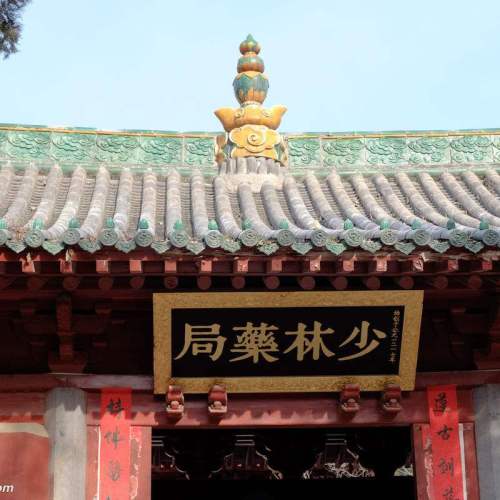 少林禪醫健康調理