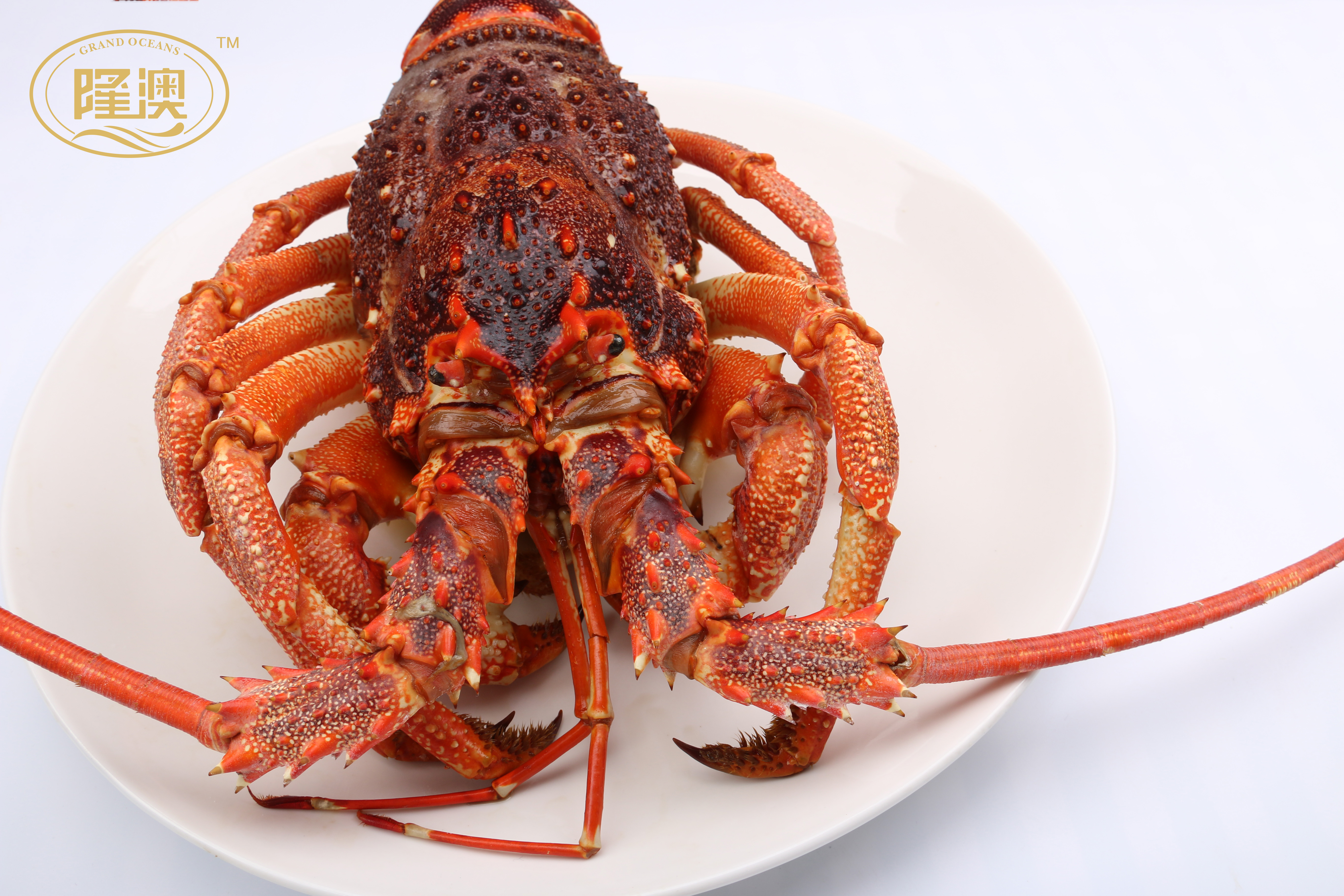 隆澳-海鲜食材专家