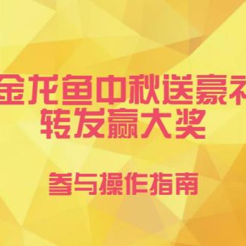 活动操作指南
