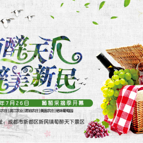 “萄醉天下?醉美新民”