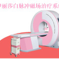 伊丽莎白脉冲磁场治疗系统