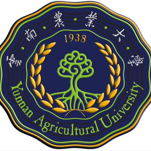菠萝糕