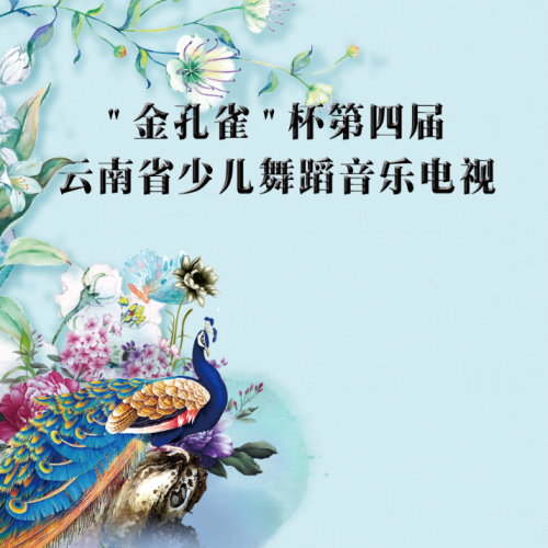 安寧市小梅花少兒舞蹈團(tuán)-“金孔雀”杯第四屆云南省少兒