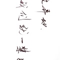 一個(gè)認(rèn)真的彩蛋