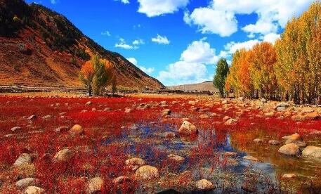 稻城亚丁计划出行报名