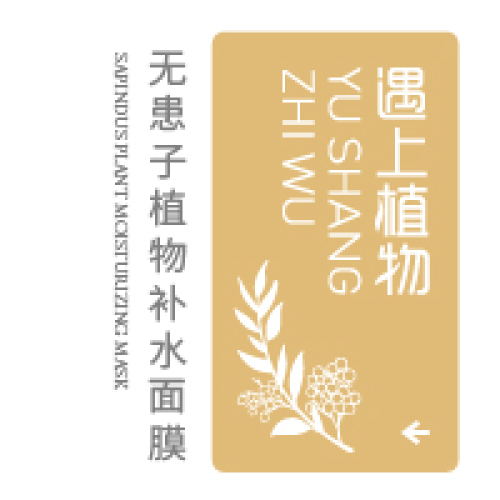 遇上植物——無患子植物補(bǔ)水面膜