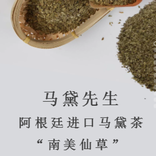 瑪黛先生——萊恩瑪特馬黛茶