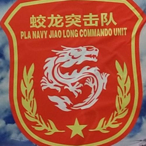 蛟龍突擊隊(duì)團(tuán)隊(duì)風(fēng)采建設(shè)