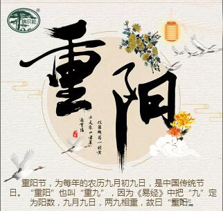 “酒酒”重阳节，白酒敬长辈！