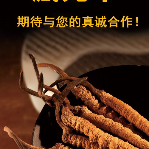 藏元草