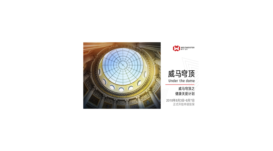 威马穹顶之补充商业保险【理赔流程介绍】