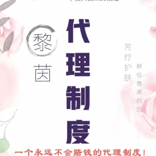 黎茵稽查制度