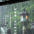 雨安居止观禅修营
