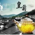 廠家直銷-金絲皇菊內購價