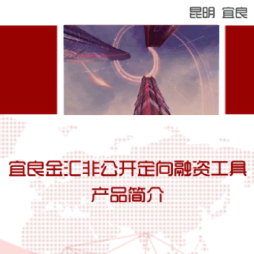 2018  非公開定向融資工具