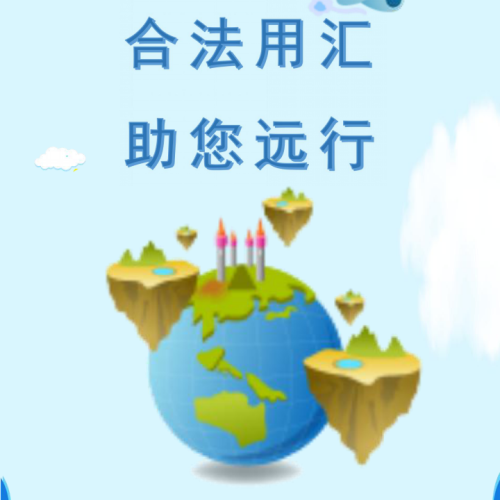 合法用匯 助你遠行